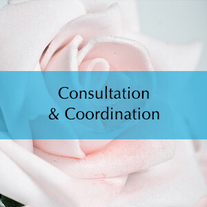 Consultation and Coordination